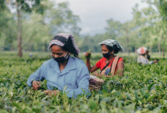 How can SMEs end forced labour?